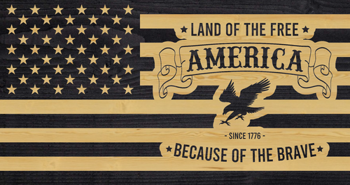 221 - Land of the free - Because of the Brave.png