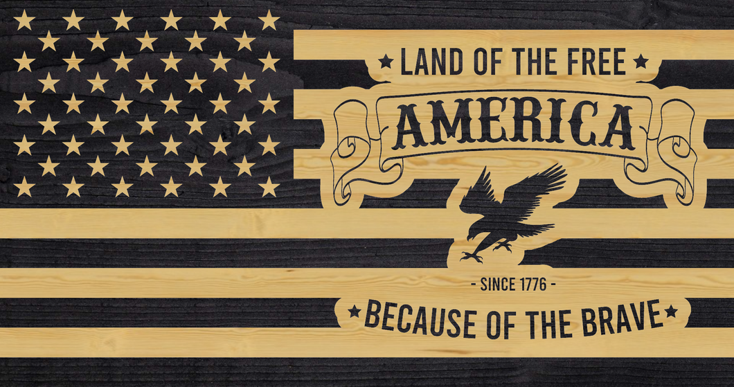 221 - Land of the free - Because of the Brave.png