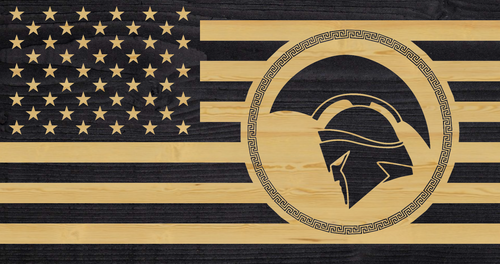 311 - Spartan Helmet in Circle.png