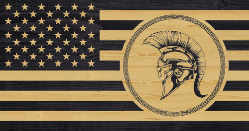 312 - Spartan Helmet in Circle-1.png