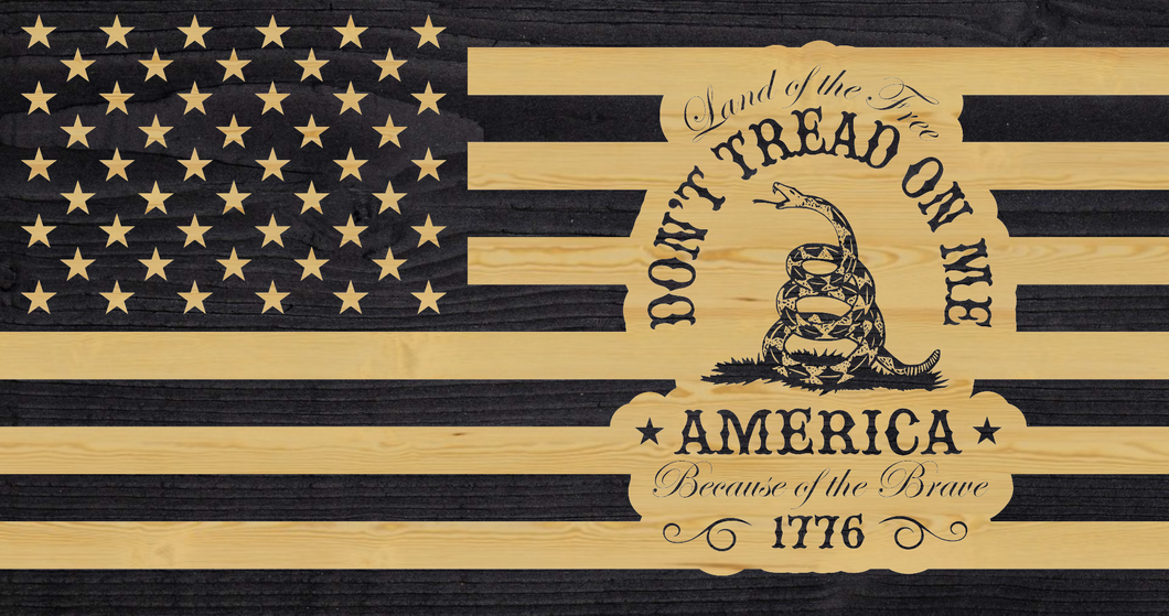 America Because of the Brave rustic flag, patriotic rustic flag, don't tread on me flag